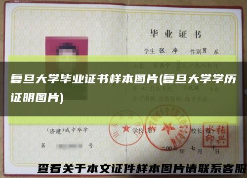 复旦大学毕业证书样本图片(复旦大学学历证明图片)缩略图