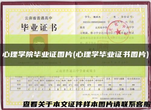 心理学院毕业证图片(心理学毕业证书图片)缩略图