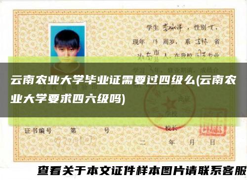 云南农业大学毕业证需要过四级么(云南农业大学要求四六级吗)缩略图