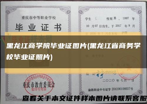 黑龙江商学院毕业证图片(黑龙江省商务学校毕业证照片)缩略图