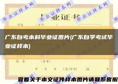 广东自考本科毕业证图片(广东自学考试毕业证样本)缩略图