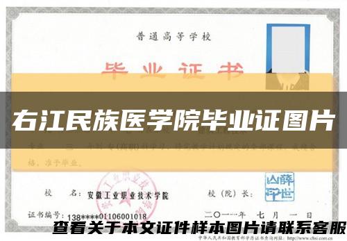 右江民族医学院毕业证图片缩略图