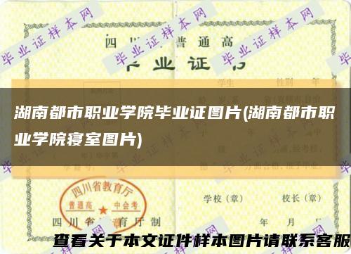 湖南都市职业学院毕业证图片(湖南都市职业学院寝室图片)缩略图
