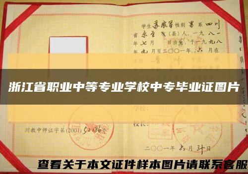 浙江省职业中等专业学校中专毕业证图片缩略图