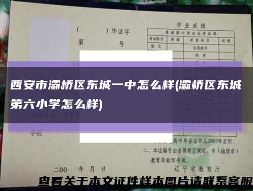 西安市灞桥区东城一中怎么样(灞桥区东城第六小学怎么样)缩略图