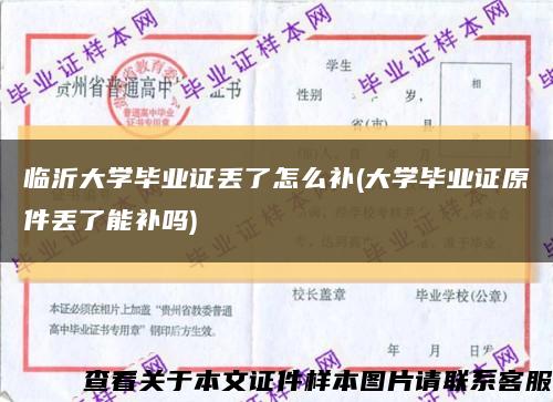 临沂大学毕业证丢了怎么补(大学毕业证原件丢了能补吗)缩略图