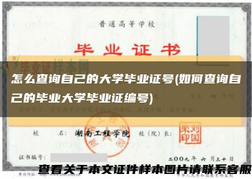 怎么查询自己的大学毕业证号(如何查询自己的毕业大学毕业证编号)缩略图