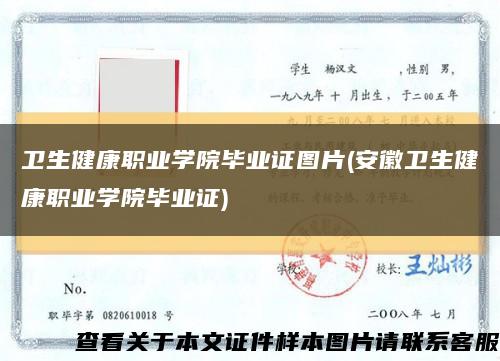 卫生健康职业学院毕业证图片(安徽卫生健康职业学院毕业证)缩略图
