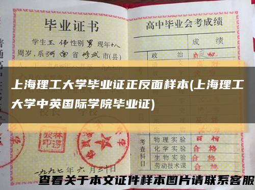 上海理工大学毕业证正反面样本(上海理工大学中英国际学院毕业证)缩略图
