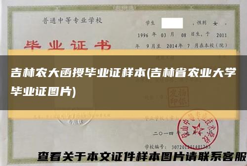 吉林农大函授毕业证样本(吉林省农业大学毕业证图片)缩略图