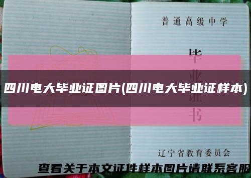 四川电大毕业证图片(四川电大毕业证样本)缩略图
