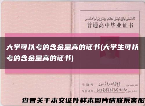 大学可以考的含金量高的证书(大学生可以考的含金量高的证书)缩略图