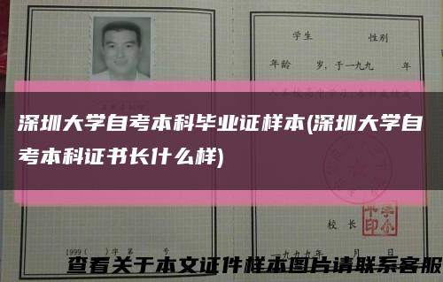深圳大学自考本科毕业证样本(深圳大学自考本科证书长什么样)缩略图