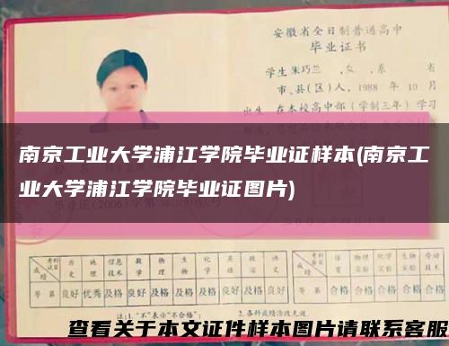 南京工业大学浦江学院毕业证样本(南京工业大学浦江学院毕业证图片)缩略图