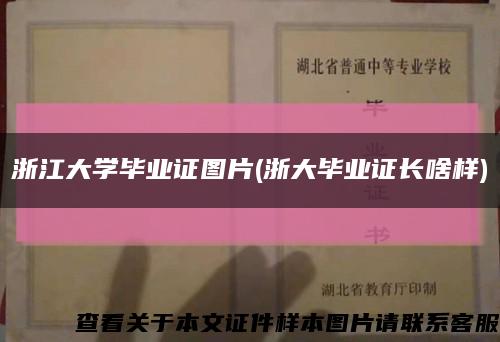 浙江大学毕业证图片(浙大毕业证长啥样)缩略图