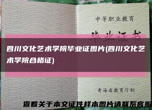 四川文化艺术学院毕业证图片(四川文化艺术学院合格证)缩略图
