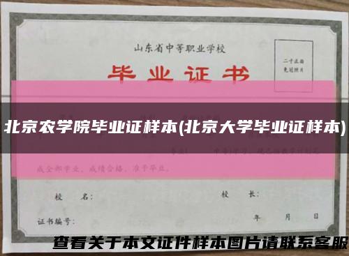 北京农学院毕业证样本(北京大学毕业证样本)缩略图