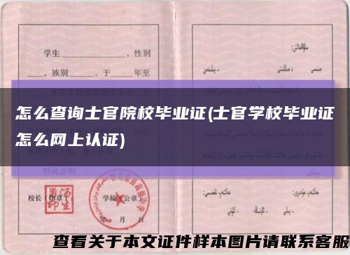怎么查询士官院校毕业证(士官学校毕业证怎么网上认证)缩略图