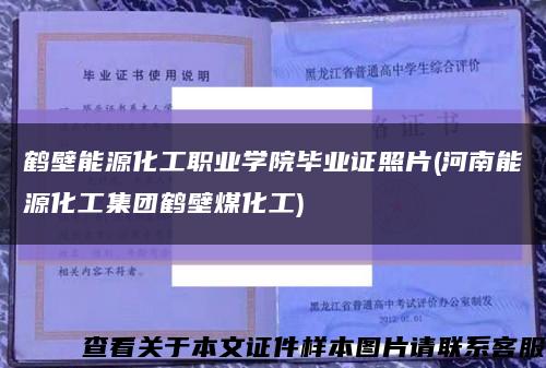 鹤壁能源化工职业学院毕业证照片(河南能源化工集团鹤壁煤化工)缩略图