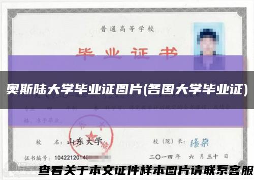 奥斯陆大学毕业证图片(各国大学毕业证)缩略图