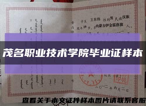 茂名职业技术学院毕业证样本缩略图