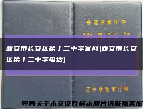 西安市长安区第十二中学官网(西安市长安区第十二中学电话)缩略图