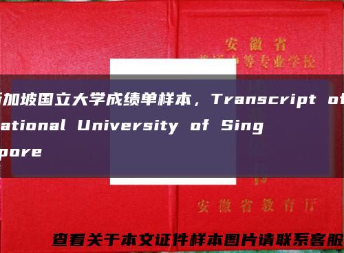 新加坡国立大学成绩单样本，Transcript of National University of Singapore缩略图