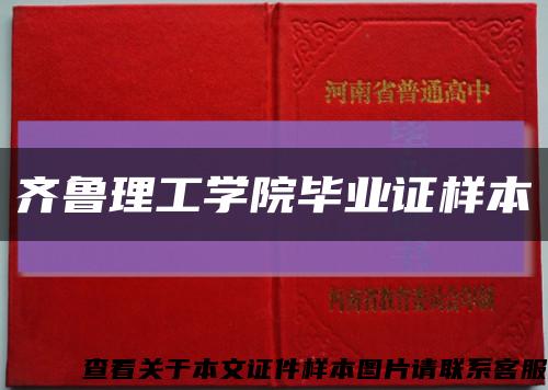 齐鲁理工学院毕业证样本缩略图