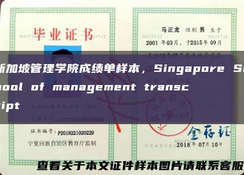 新加坡管理学院成绩单样本，Singapore School of management transcript缩略图