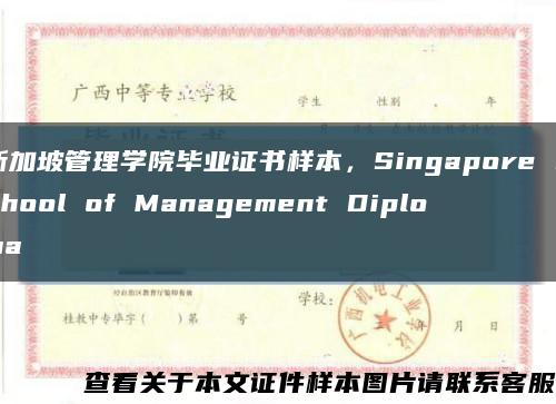 新加坡管理学院毕业证书样本，Singapore School of Management Diploma缩略图