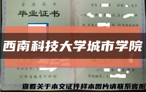 西南科技大学城市学院缩略图