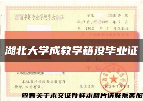 湖北大学成教学籍没毕业证缩略图