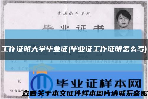 工作证明大学毕业证(毕业证工作证明怎么写)缩略图