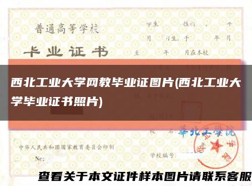 西北工业大学网教毕业证图片(西北工业大学毕业证书照片)缩略图