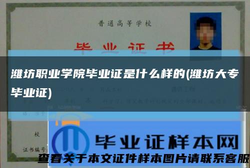 潍坊职业学院毕业证是什么样的(潍坊大专毕业证)缩略图