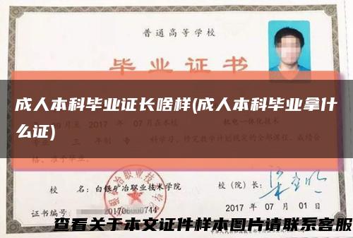 成人本科毕业证长啥样(成人本科毕业拿什么证)缩略图