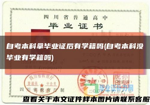 自考本科拿毕业证后有学籍吗(自考本科没毕业有学籍吗)缩略图