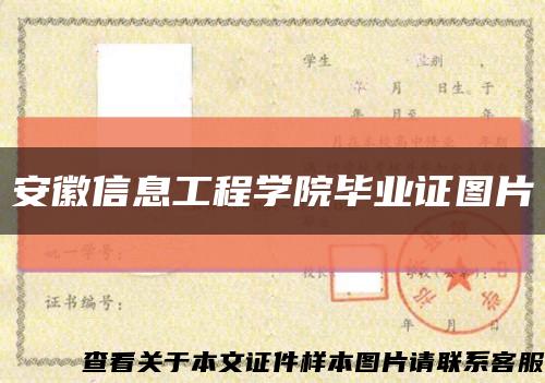 安徽信息工程学院毕业证图片缩略图
