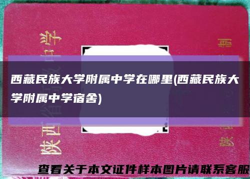西藏民族大学附属中学在哪里(西藏民族大学附属中学宿舍)缩略图