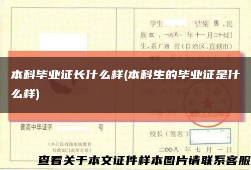 本科毕业证长什么样(本科生的毕业证是什么样)缩略图
