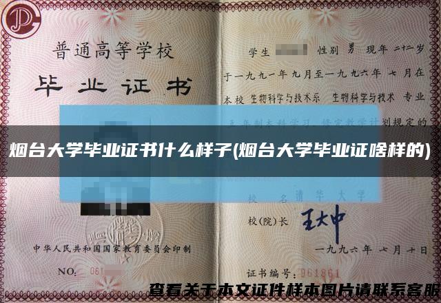 烟台大学毕业证书什么样子(烟台大学毕业证啥样的)缩略图