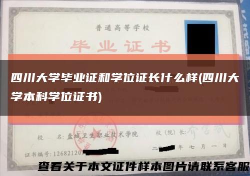 四川大学毕业证和学位证长什么样(四川大学本科学位证书)缩略图