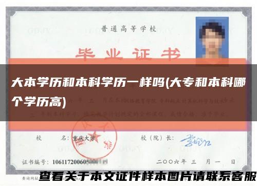 大本学历和本科学历一样吗(大专和本科哪个学历高)缩略图