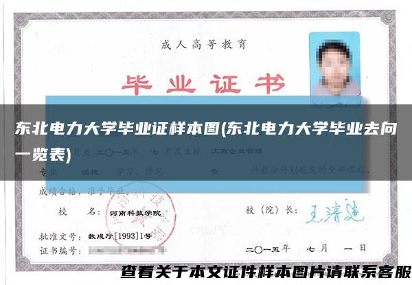 东北电力大学毕业证样本图(东北电力大学毕业去向一览表)缩略图