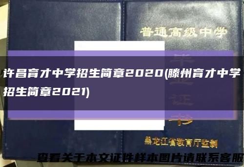 许昌育才中学招生简章2020(滕州育才中学招生简章2021)缩略图