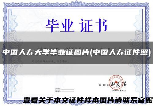 中国人寿大学毕业证图片(中国人寿证件照)缩略图