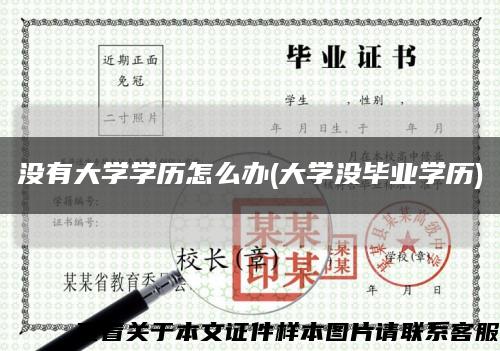 没有大学学历怎么办(大学没毕业学历)缩略图