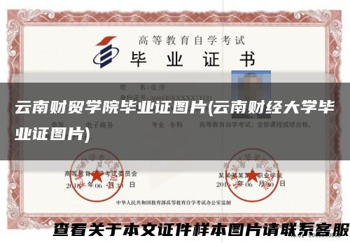 云南财贸学院毕业证图片(云南财经大学毕业证图片)缩略图