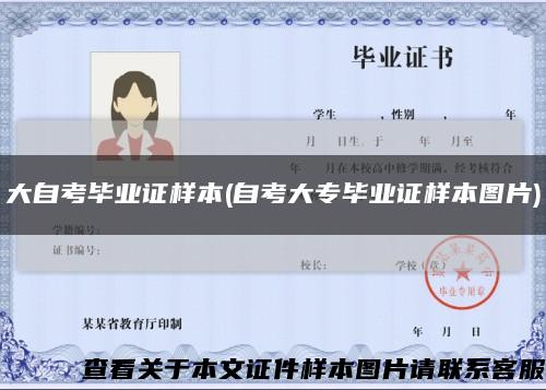 大自考毕业证样本(自考大专毕业证样本图片)缩略图