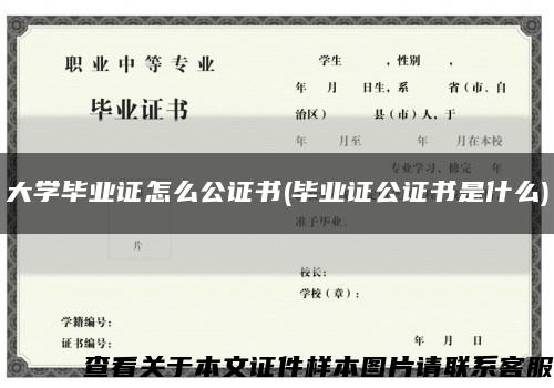 大学毕业证怎么公证书(毕业证公证书是什么)缩略图
